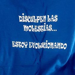 Estoy evolucionando